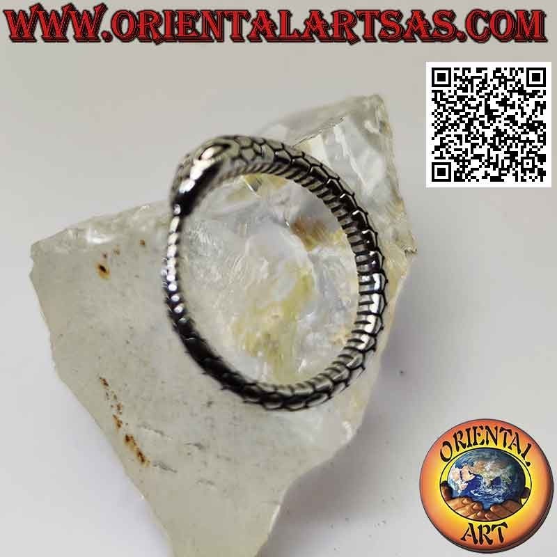Anello in argento, serpente Ouroboros tridimensionale inciso