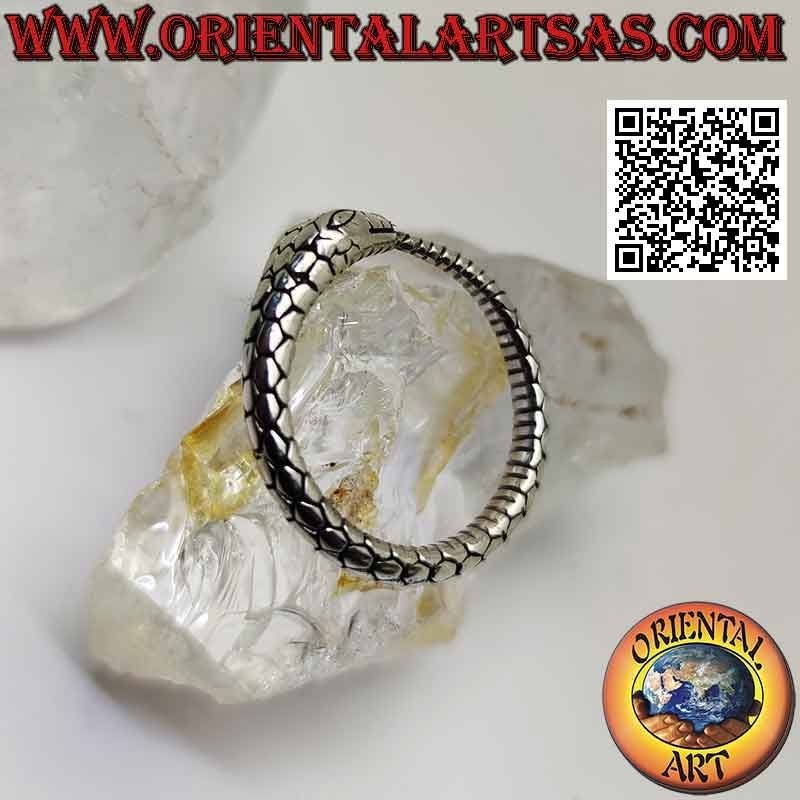 Anillo de plata, serpiente Ouroboros tridimensional grabada