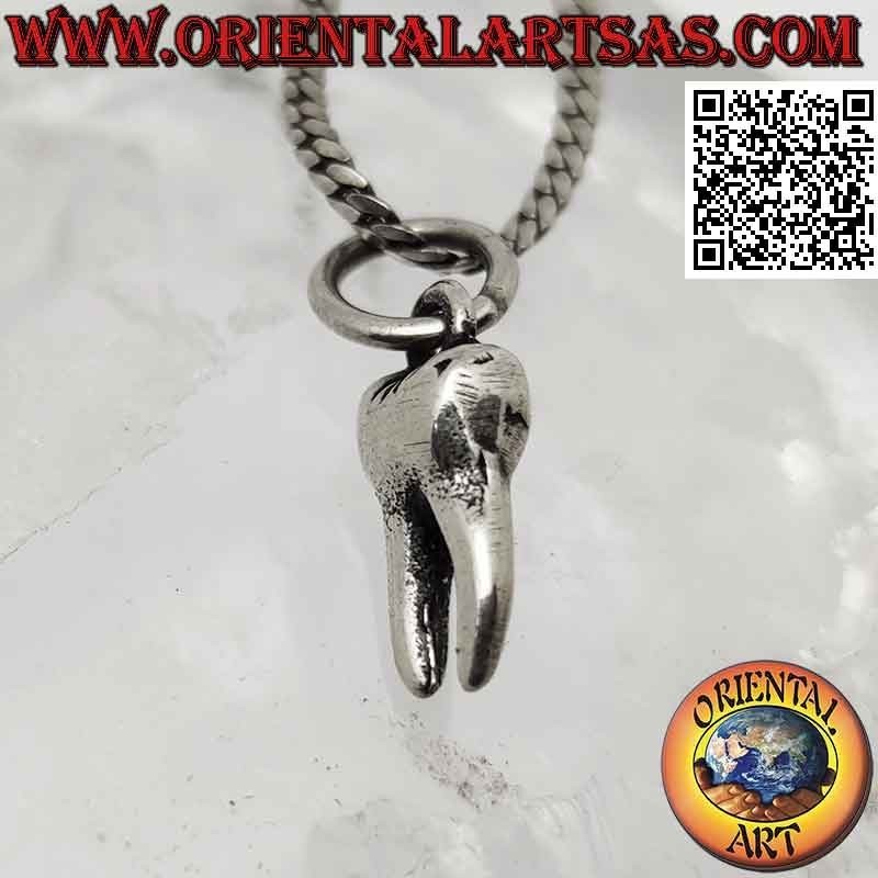 Silver pendant, the premolar or molar tooth with two roots (bicuspid)