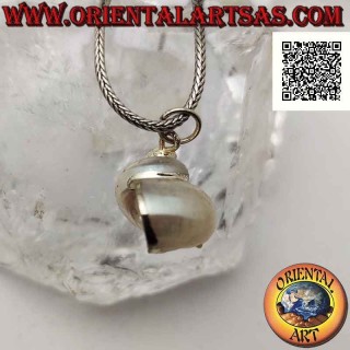 Colgante de plata con concha "Natica" (Naticarius hebraeus) en montura de plata