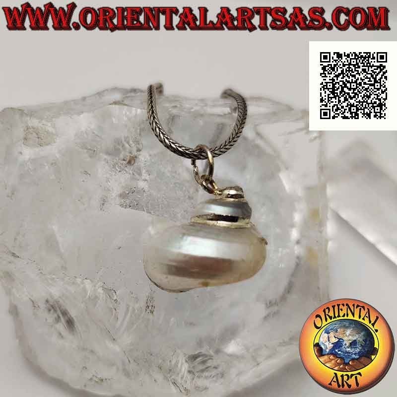 Silver pendant with "Natica" shell (Naticarius hebraeus) on silver setting