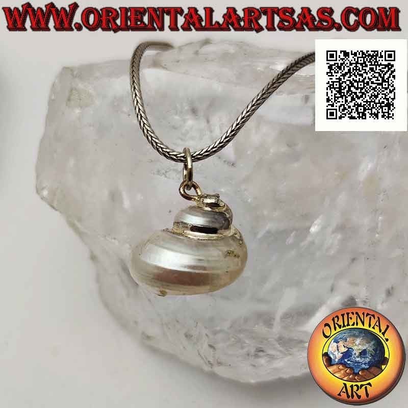 Ciondolo in argento con conchiglia "Natica" (Naticarius hebraeus) su montatura in argento