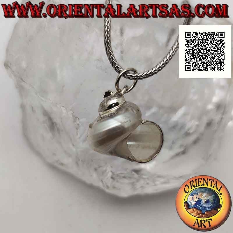 Colgante de plata con concha "Natica" (Naticarius hebraeus) en montura de plata