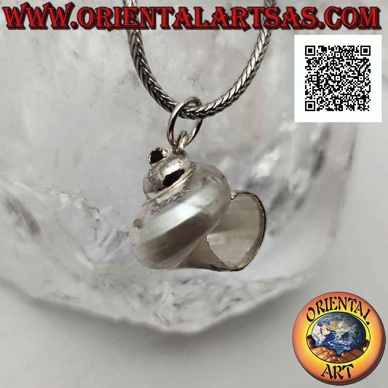 Colgante de plata con concha "Natica" (Naticarius hebraeus) en montura de plata