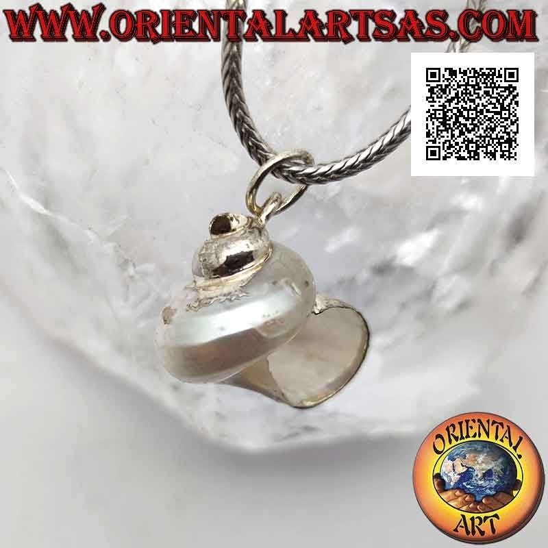 Colgante de plata con concha "Natica" (Naticarius hebraeus) en montura de plata