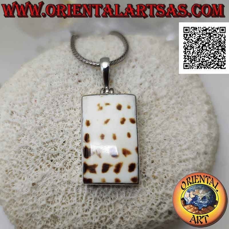 Colgante de plata con parte de un gasterópodo marino fósil (concha/caracola) rectangular a ras