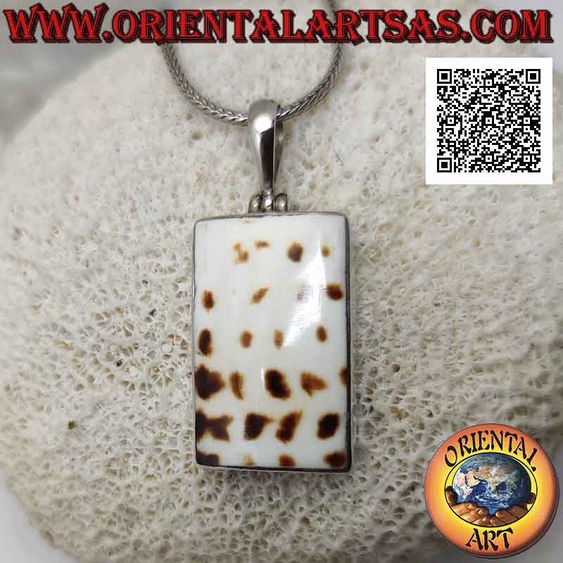 Pendentif en argent avec une partie d'un gastéropode marin fossile (coquillage / conque) rectangulaire affleurant