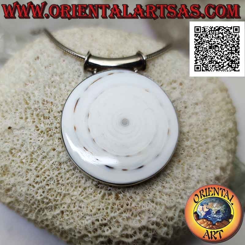 Pendentif en argent avec gros gastéropode rond sur cadre latéral lisse et crochet tubulaire (b)