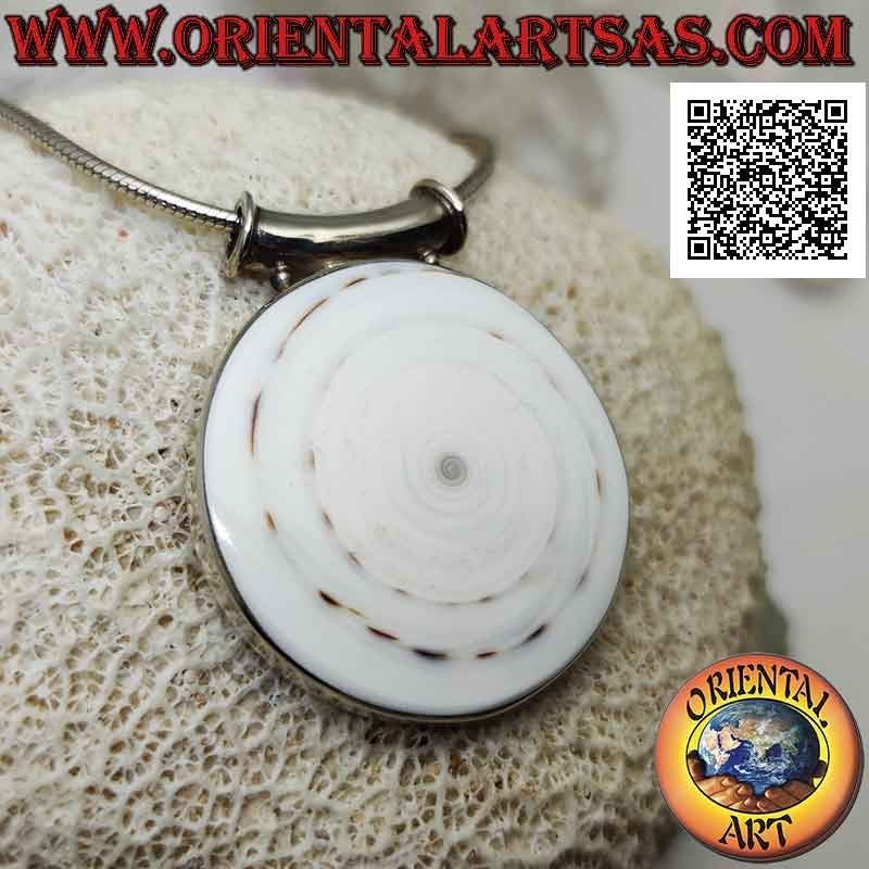 Pendentif en argent avec gros gastéropode rond sur cadre latéral lisse et crochet tubulaire (b)