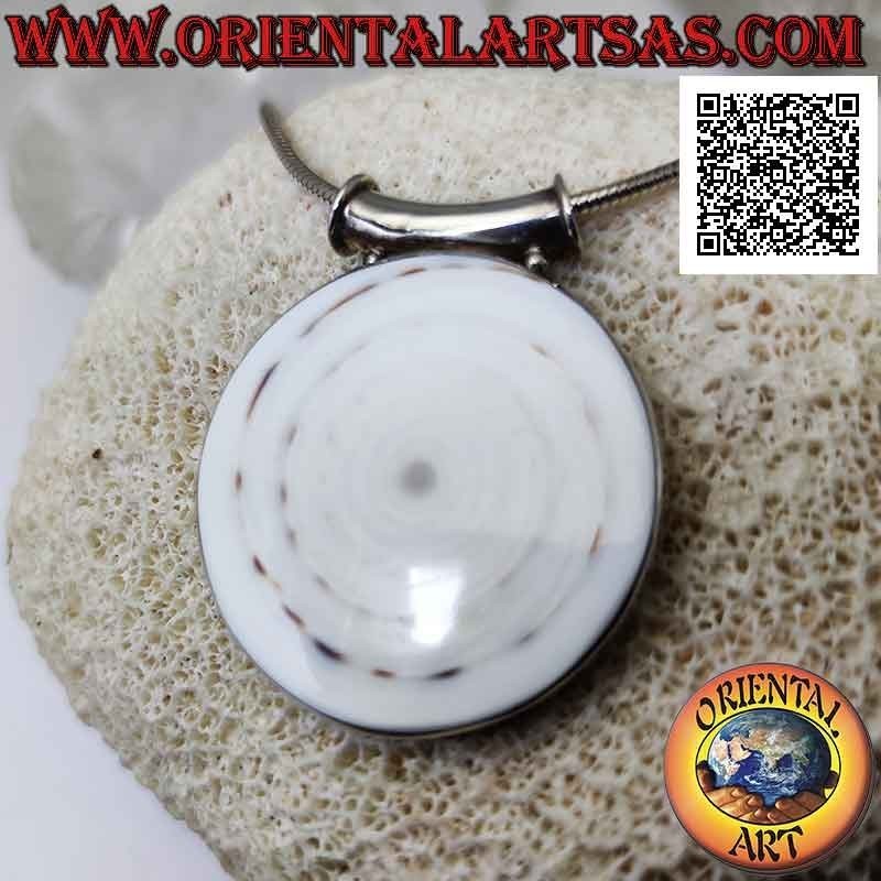 Pendentif en argent avec gros gastéropode rond sur cadre latéral lisse et crochet tubulaire (b)