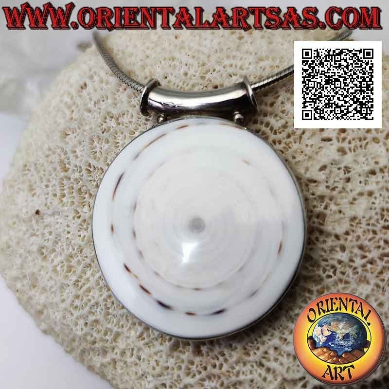 Ciondolo in argento con gasteropode tonda grande su montatura liscia laterale e gancio tubolare (b)