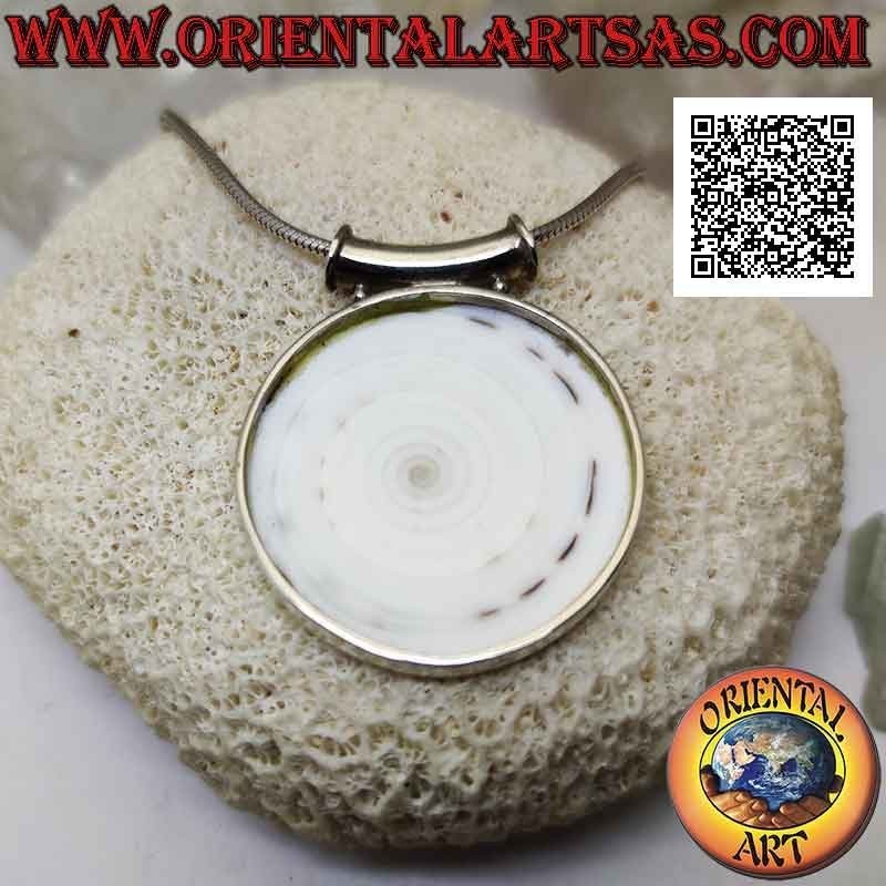 Pendentif en argent avec gros gastéropode rond sur cadre latéral lisse et crochet tubulaire (b)