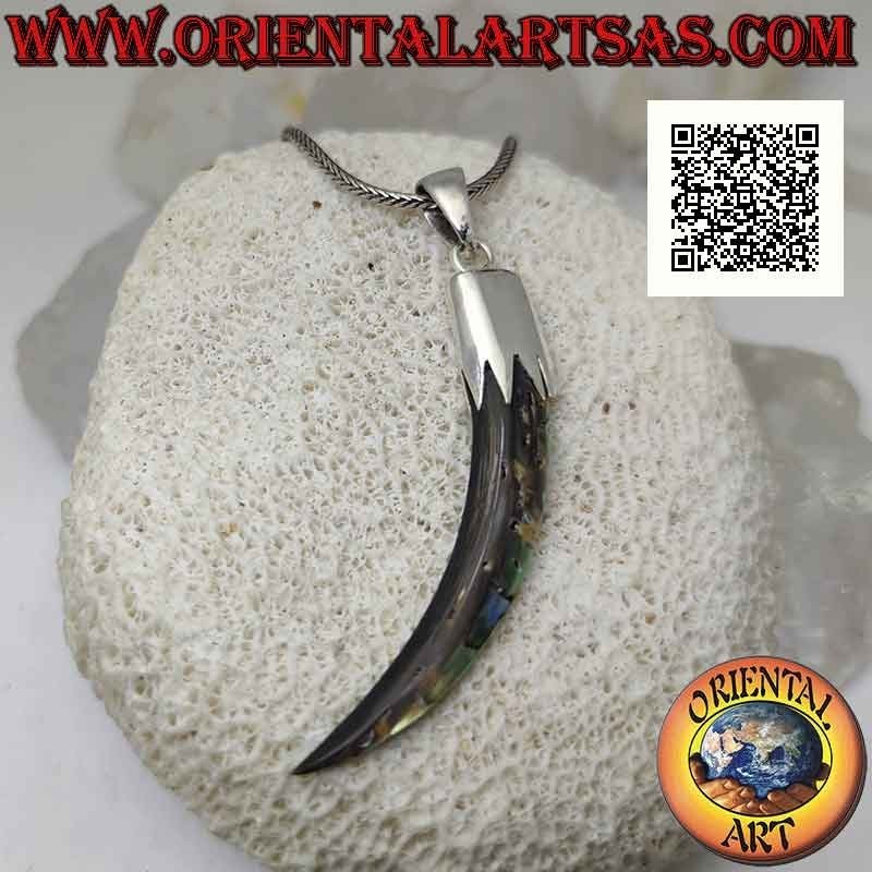 Silver pendant, abalone (paua shell) "lucky charm" horn with hood (A)