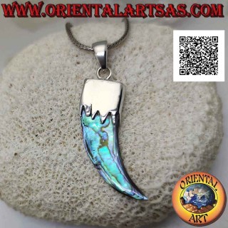 Colgante de plata, abulón (concha de paua) cuerno "amuleto de la suerte" con capucha (B)