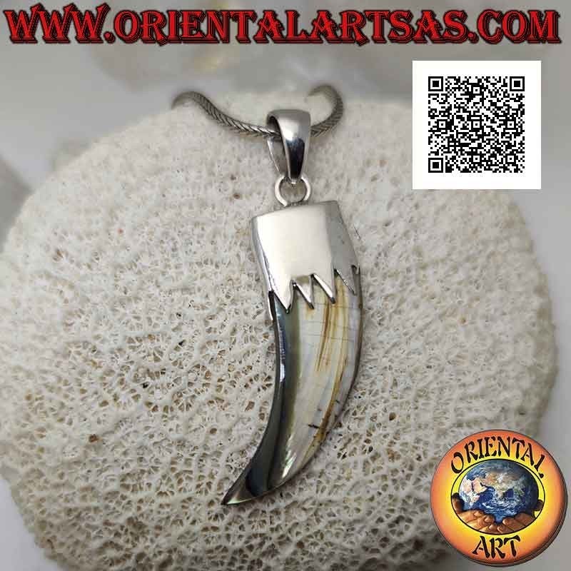 Ciondolo in argento, cornetto "portafortuna" di abalone (paua shell) con cappuccio (B)