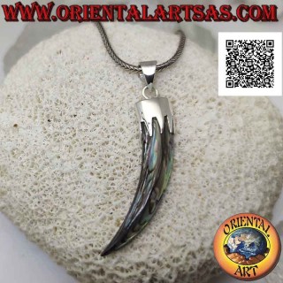 Colgante de plata, abulón (concha de paua) cuerno "amuleto de la suerte" con capucha (C)