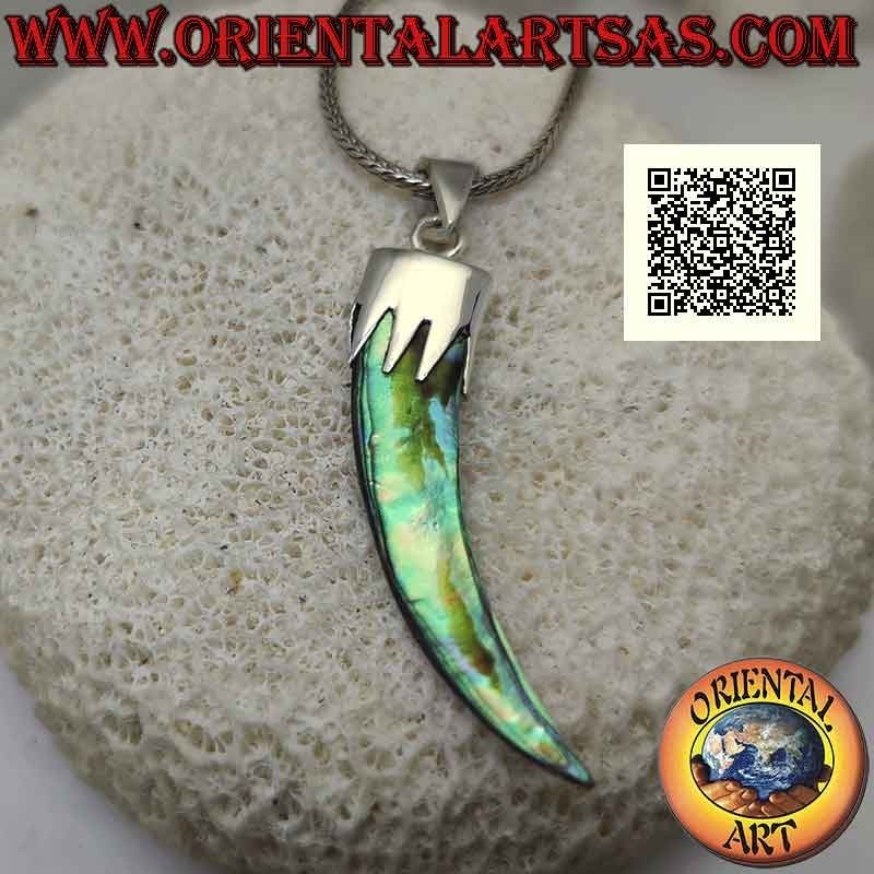 Colgante de plata, abulón (concha de paua) cuerno "amuleto de la suerte" con capucha (C)