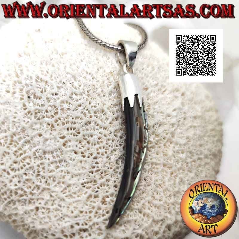 Colgante de plata, abulón (concha de paua) cuerno "amuleto de la suerte" con capucha (C)