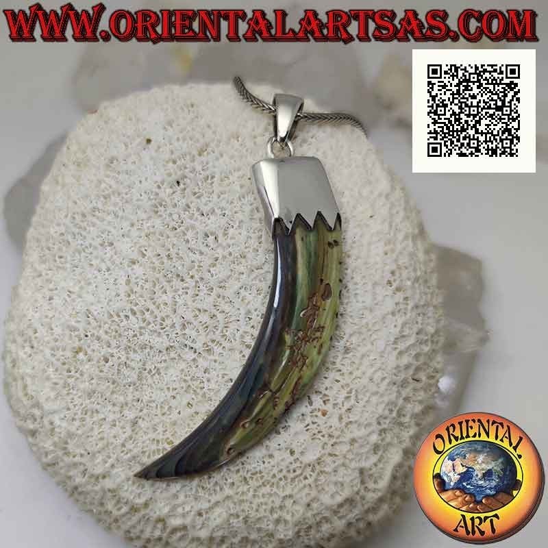 Pendentif en argent, corne d'ormeau (paua shell) "porte-bonheur" avec capuchon (D)