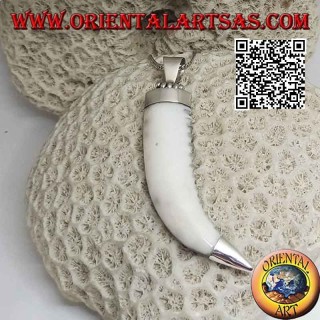 Silver pendant, wolf tooth on a smooth setting