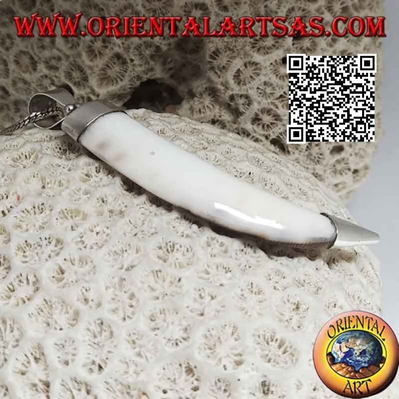 Silver pendant, wolf tooth on a smooth setting