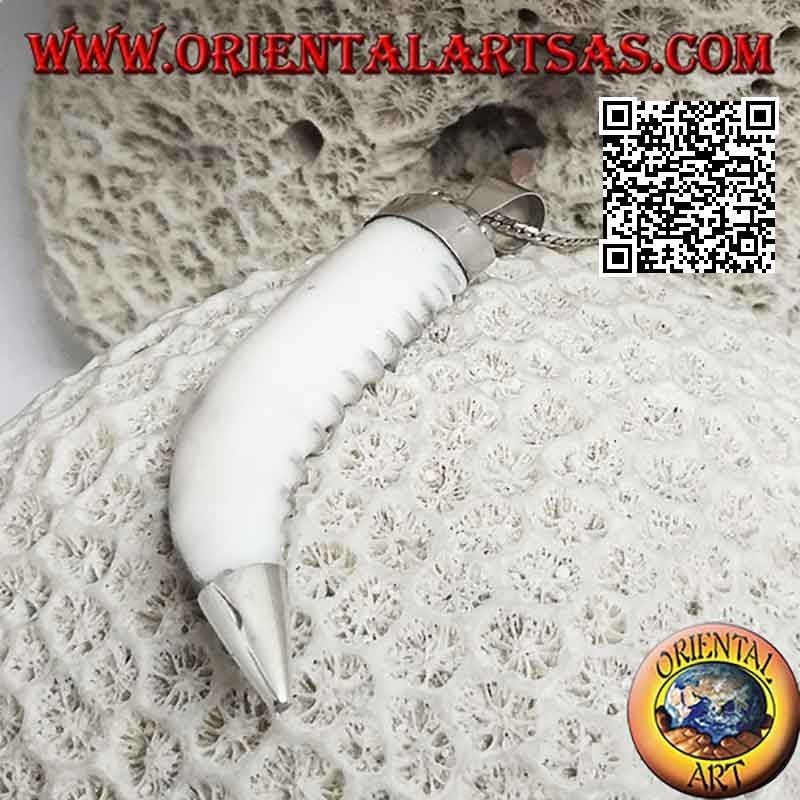 Colgante de plata, diente de lobo en engaste liso