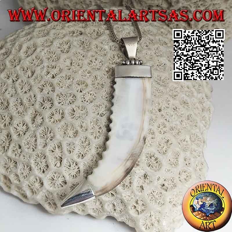 Pendentif en argent, dent de loup sur monture lisse