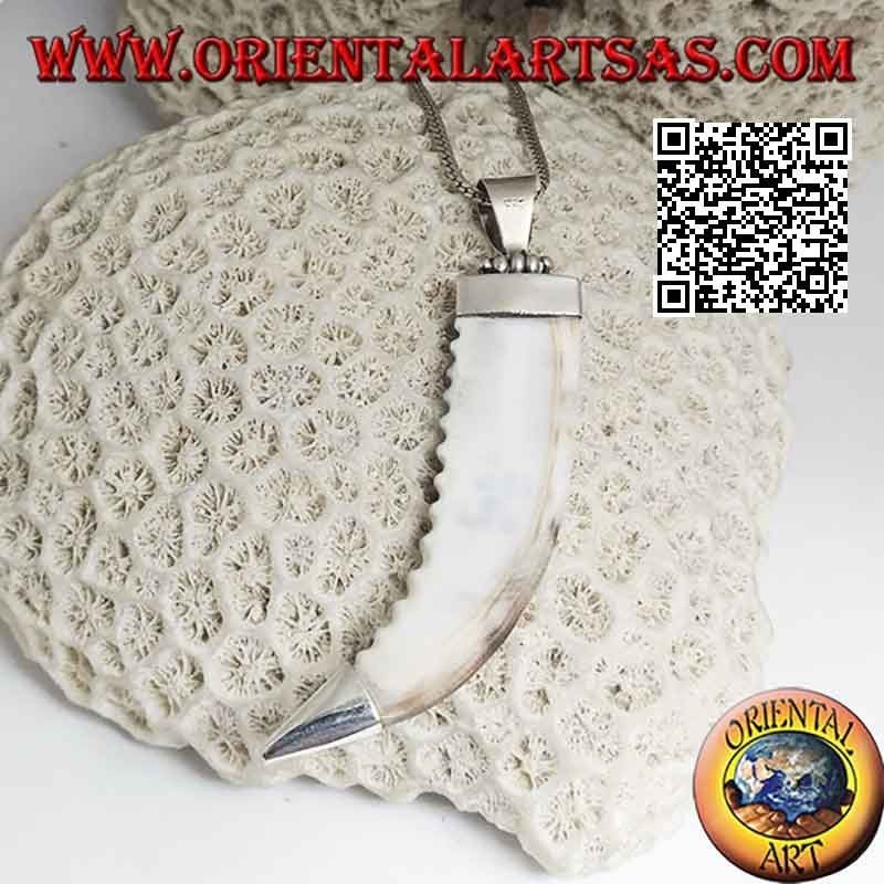 Colgante de plata, diente de lobo en engaste liso