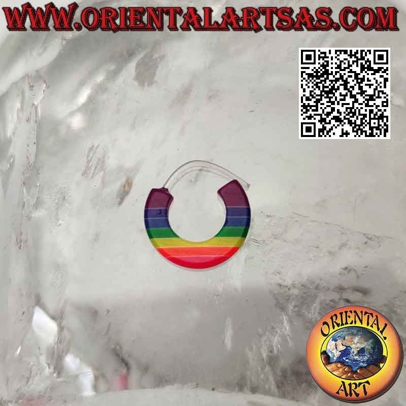 Multicolor hoop earrings in 12 mm hypoallergenic silicone