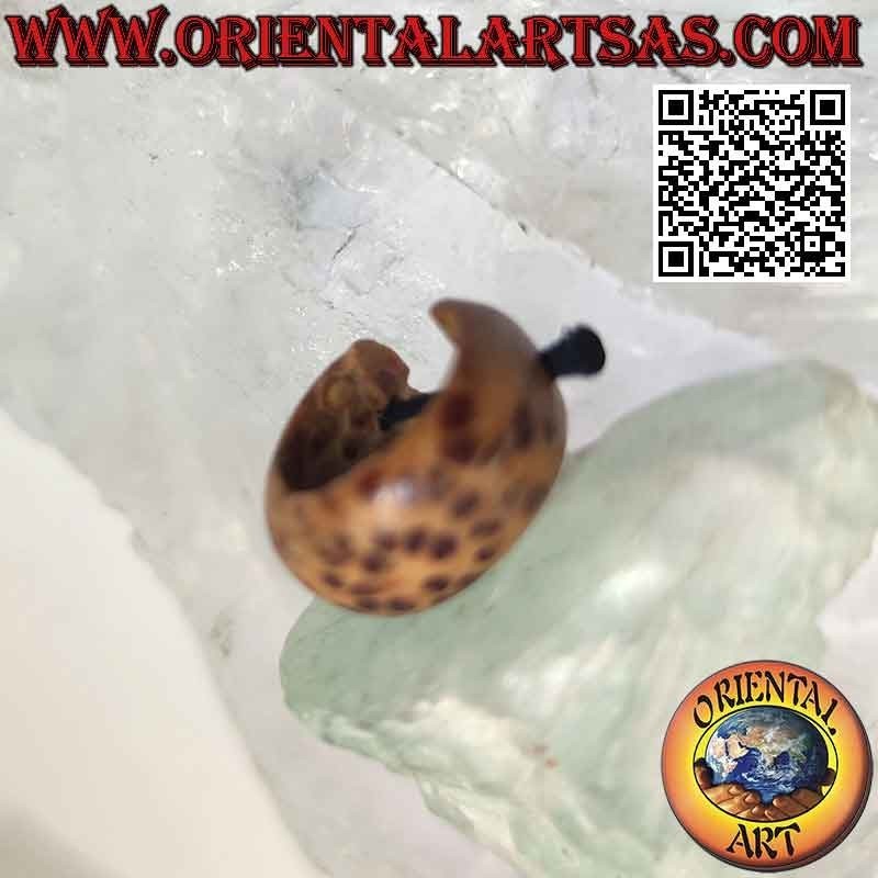 14 mm Creolen aus Kokosnussholz