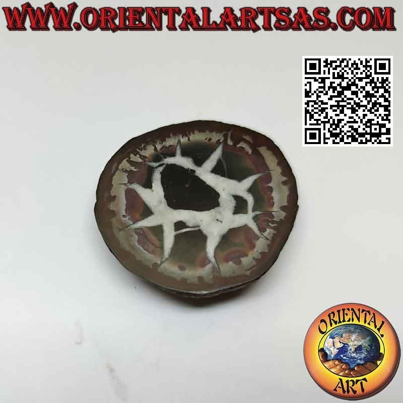 Scheibe rohe Septarien