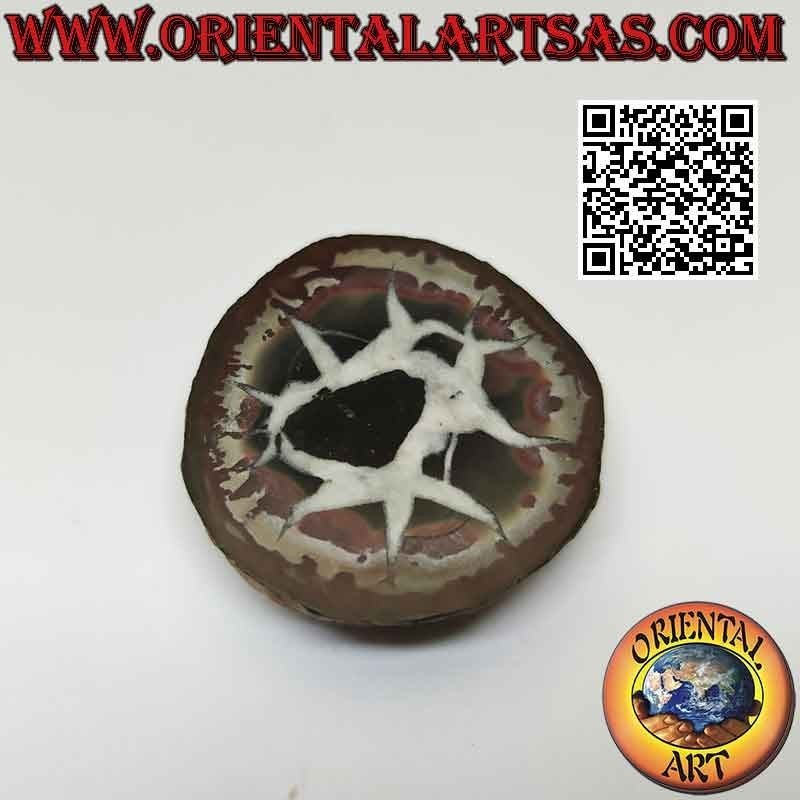 Rebanada de septaria cruda