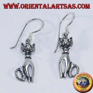 silver earrings, Cat