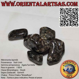 Agata Turritella tumbled