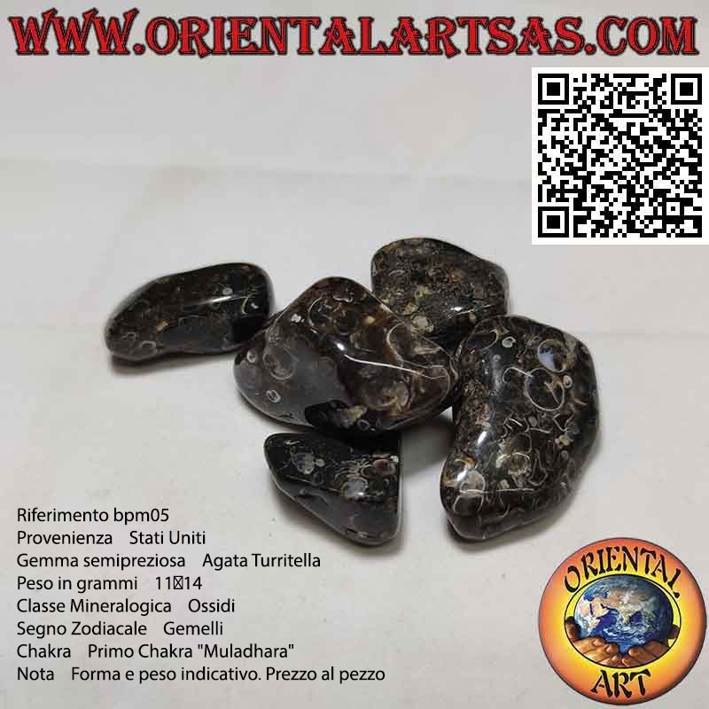 Agata Turritella a dégringolé