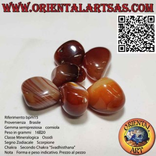 Carnelian tumbled (large)