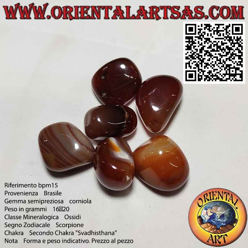 Carnelian tumbled (large)