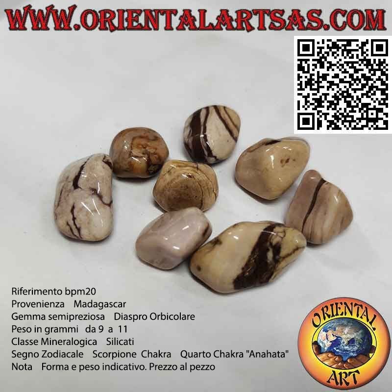 Jaspe orbicular caído