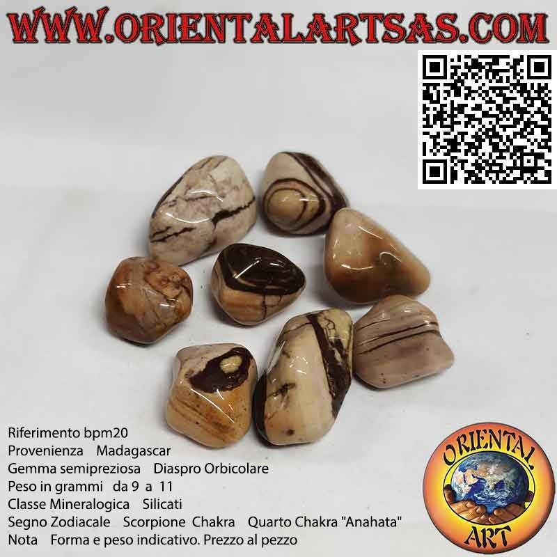 Jaspe orbicular caído