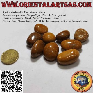 Tumbled Tiger Jasper (small)