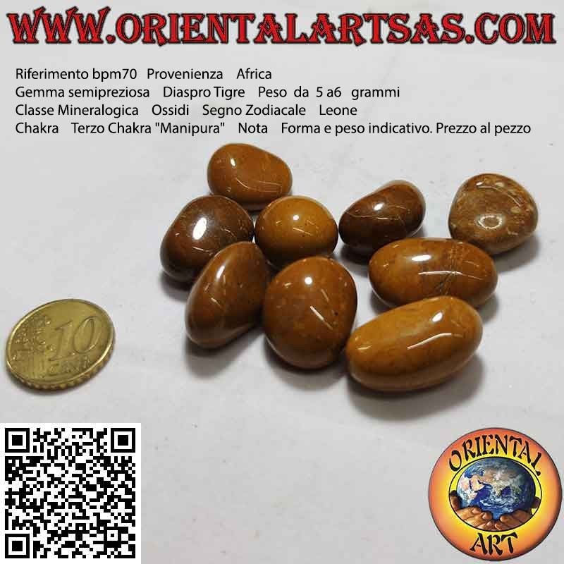 Tumbled Tiger Jasper (small)