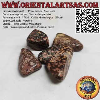 Diaspro Leopardato burattato