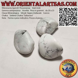 Howlite fiel (groß)