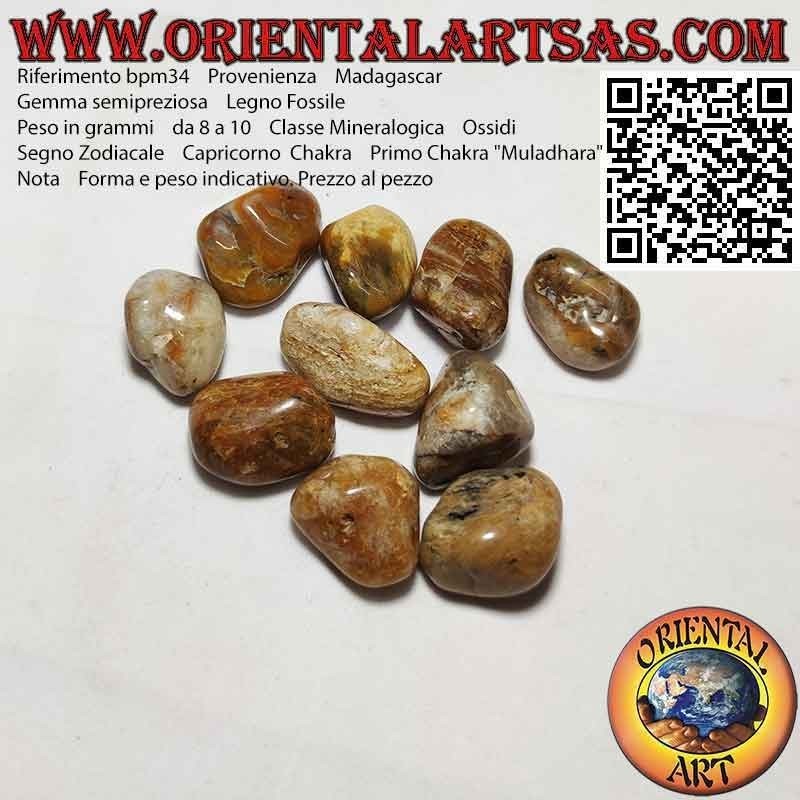 Legno Fossile Burattato