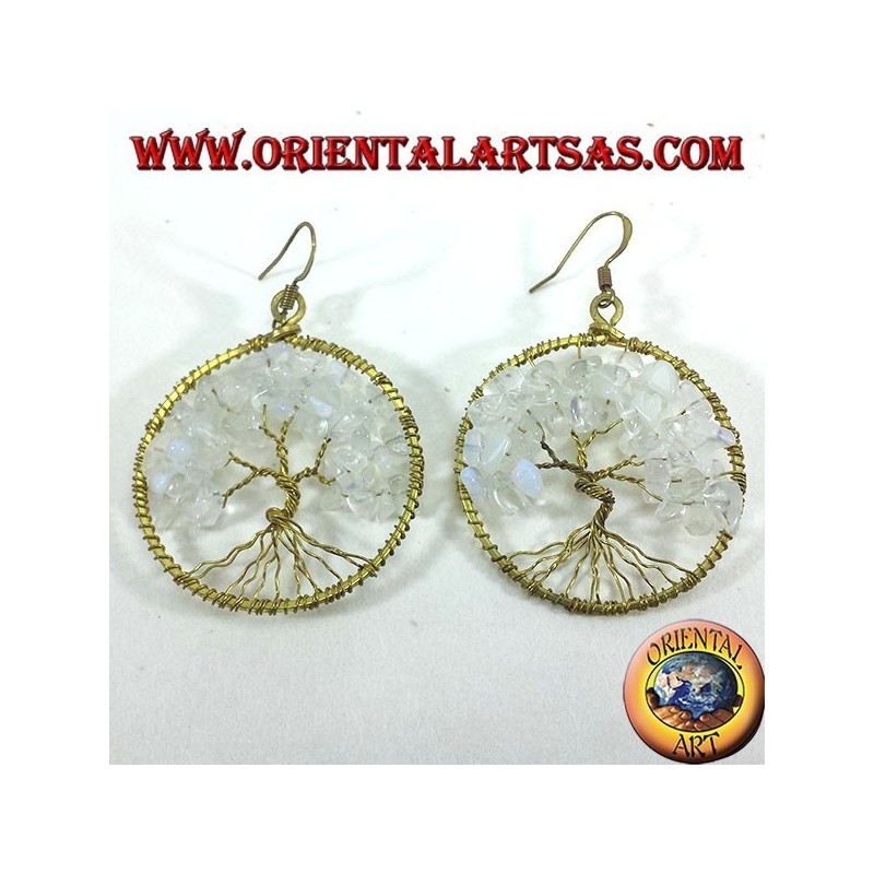 earrings tree of life with rainbow moonstone golden brass