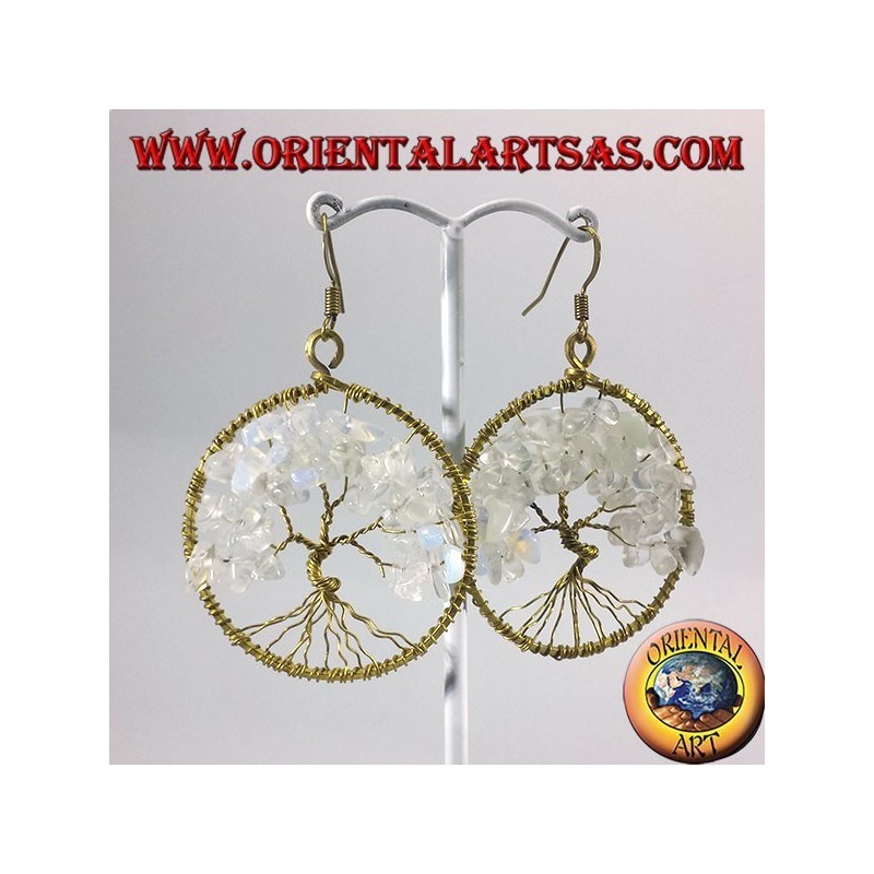 earrings tree of life with rainbow moonstone golden brass
