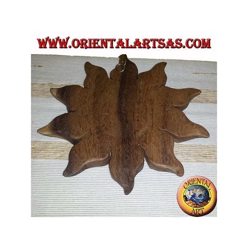 Sole il legno di teak colorato