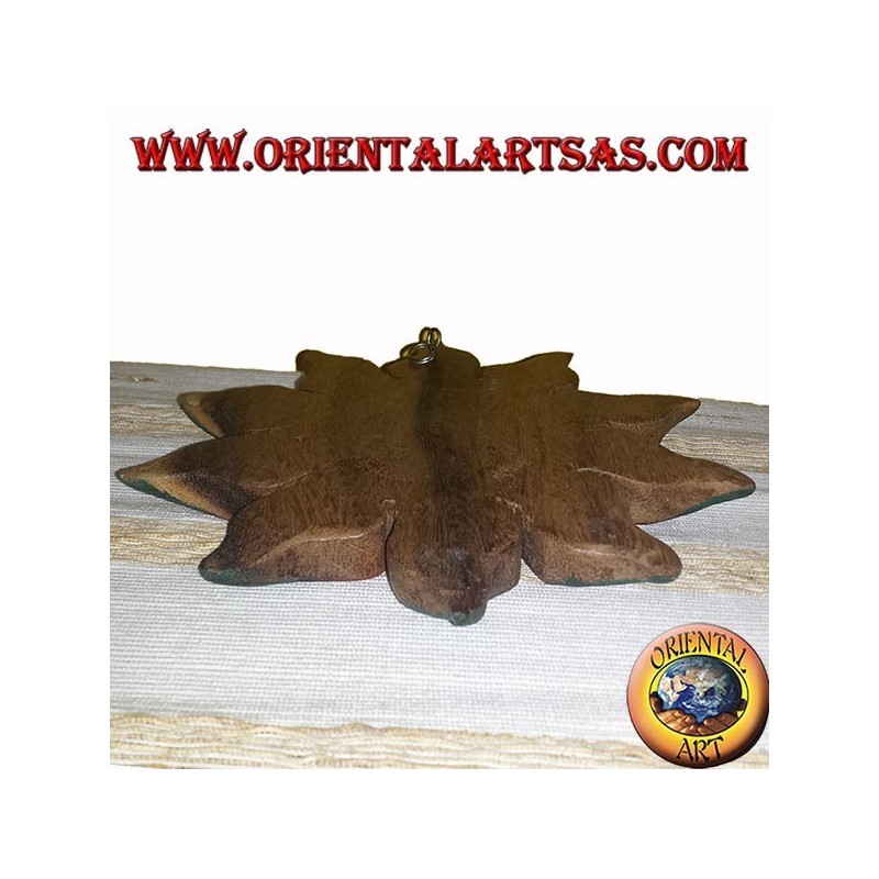 Sole il legno di teak colorato