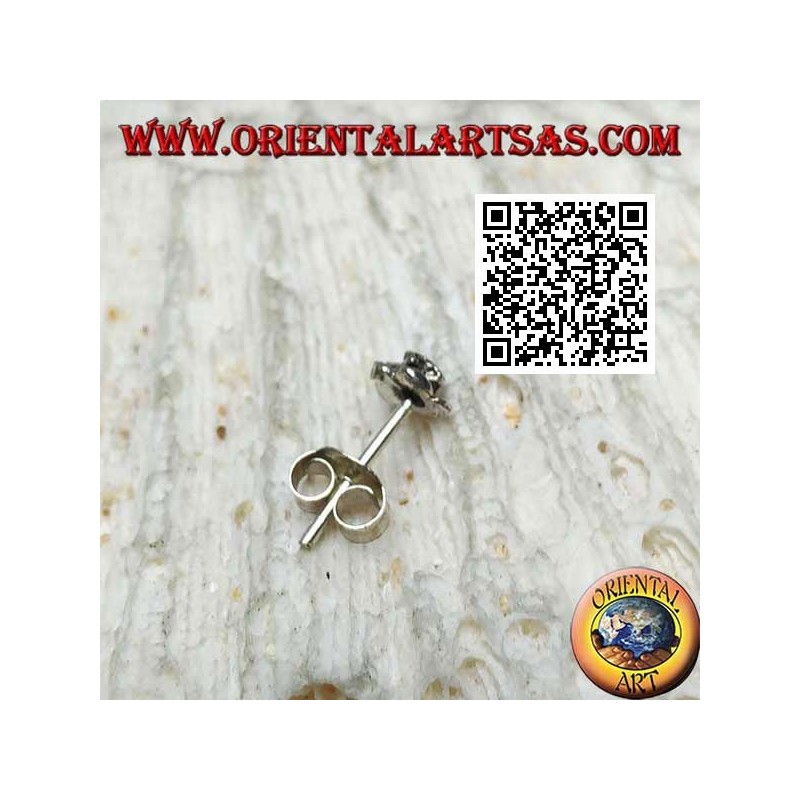 Mini silver earring, the flower (various types)