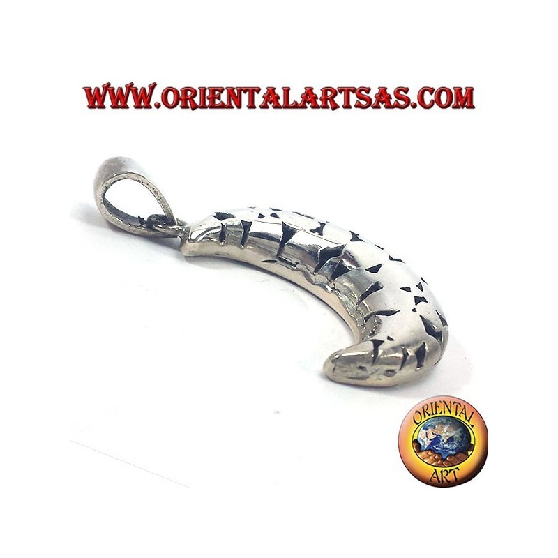 Pendentif argent, lune percé